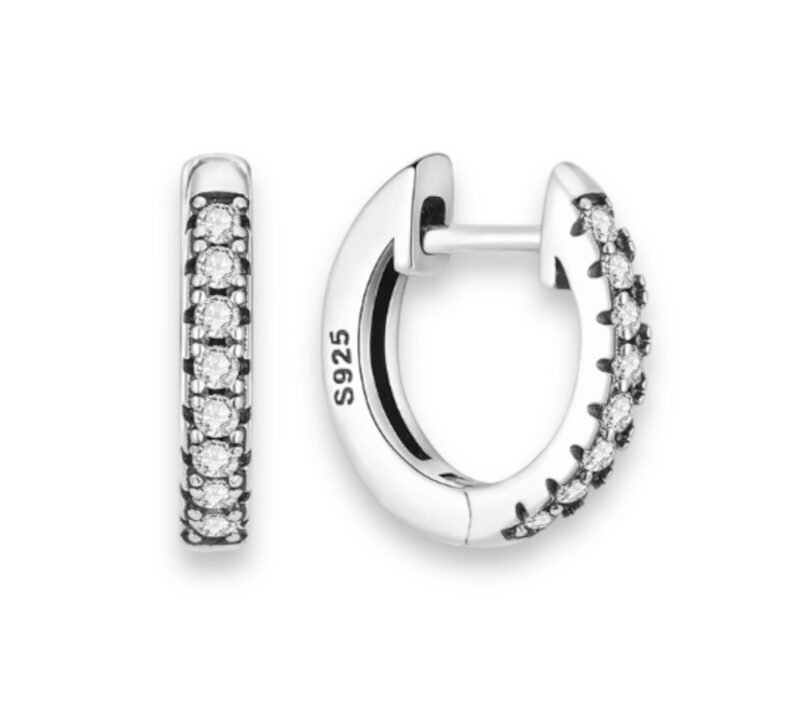 Sparkling Pave Hoop Earrings